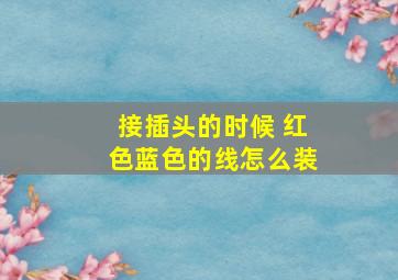 接插头的时候 红色蓝色的线怎么装